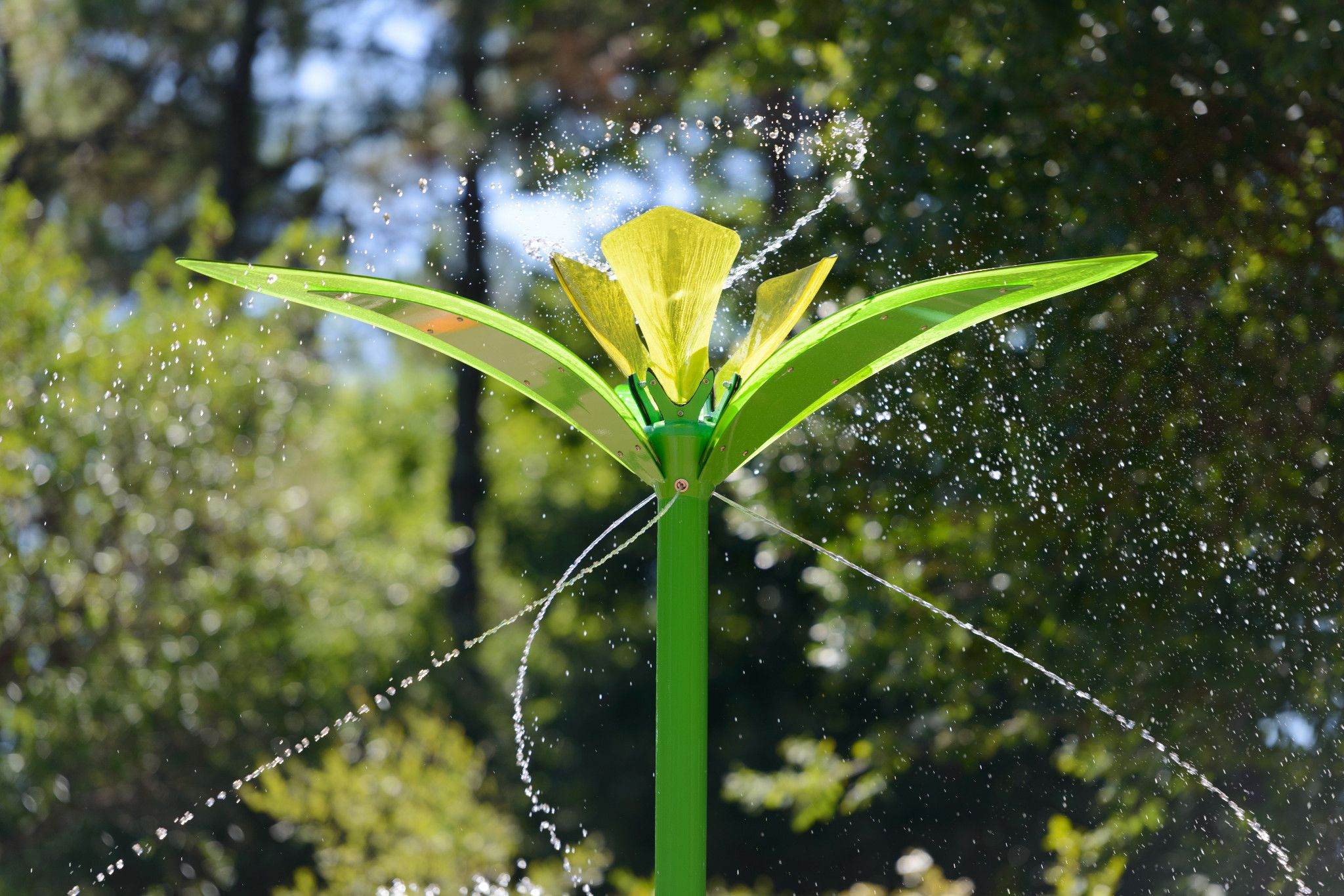 Watergarden Bloom